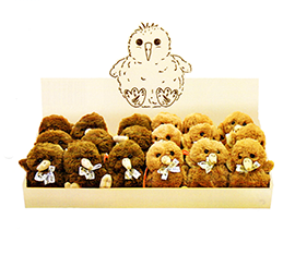 Baby Kiwis - 30616 BOX of 18