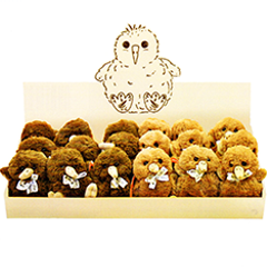 Baby Kiwis - 30616 BOX of 18